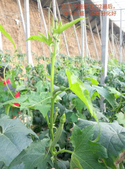 1553058698886067.png 1553058698886067.png