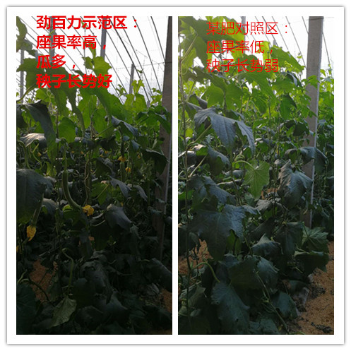 1553058757617506.png 1553058757617506.png