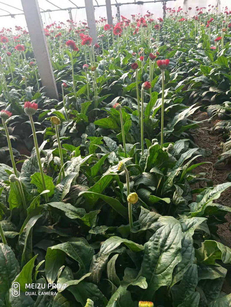 1553073306876901.png 圖片5.png