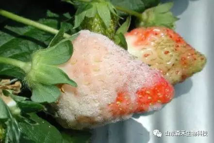 1553129796783307.png 1553129796783307.png