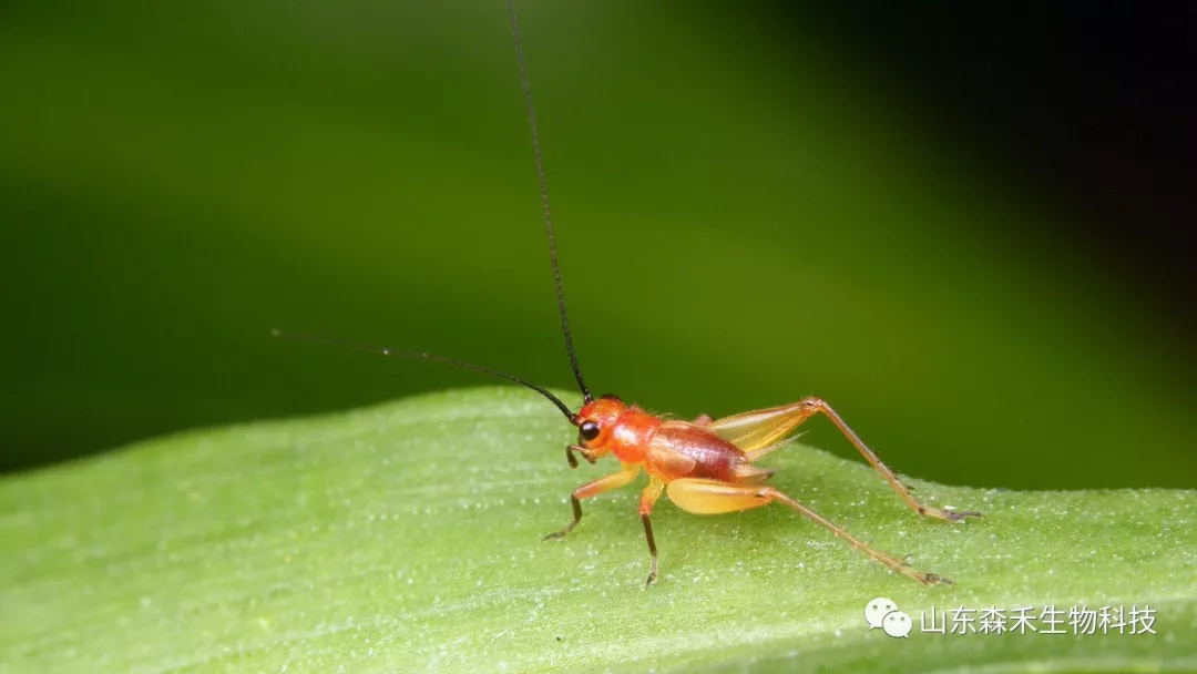 1553131855806028.png 1-8.png