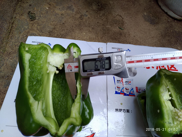 1554173994127507.png 1554173994127507.png