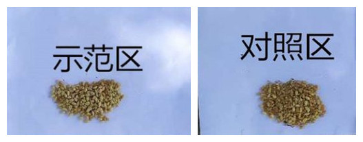 1592378967975521.jpg 24_副本2_副本.jpg